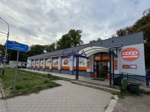 Prodej obchodního prostoru, Jemnice, Tyršova, 481 m2