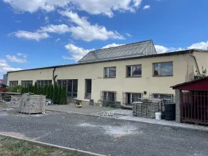 Pronájem skladu, Teplice, Dubská, 1100 m2