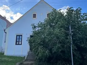 Pronájem rodinného domu, Pavlov, Na Návsi, 190 m2