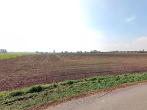 Prodej podílu pole, Jenišovice, 1656 m2