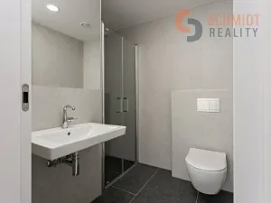 Prodej bytu 2+kk, Břeclav, Pod Zámkem, 40 m2