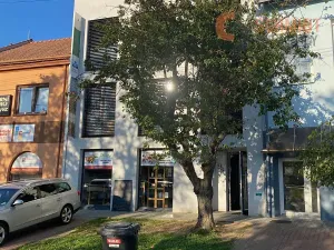 Pronájem kanceláře, Hustopeče, Janáčkova, 16 m2