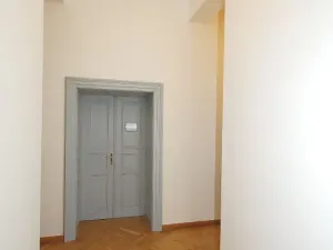 Pronájem kanceláře, Praha - Nové Město, Mezibranská, 164 m2