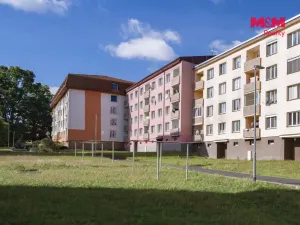 Prodej bytu 1+1, Cheb, Lesní, 36 m2