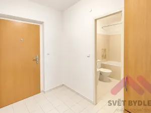 Pronájem bytu 1+kk, Praha - Vysočany, bratří Dohalských, 42 m2