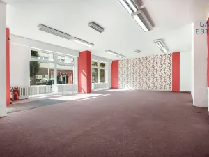 Prodej obchodního prostoru, Holešov, Palackého, 87 m2