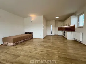 Pronájem bytu 1+kk, Malhostovice, 40 m2