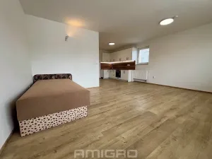 Pronájem bytu 1+kk, Malhostovice, 40 m2