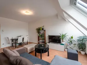 Pronájem bytu 3+kk, Olomouc, Palackého, 70 m2