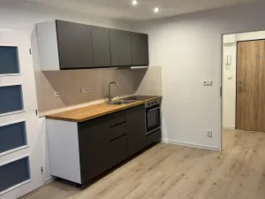 Prodej bytu 2+kk, Praha - Krč, Hurbanova, 41 m2
