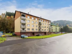 Pronájem bytu 1+kk, Velké Hamry, 24 m2
