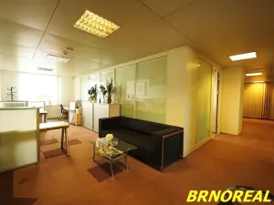 Pronájem kanceláře, Brno, Příkop, 20 m2