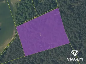 Prodej podílu lesa, Hrdlív, 2102 m2
