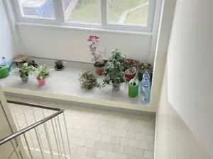 Pronájem bytu 1+1, Praha - Letňany, Dobratická, 31 m2