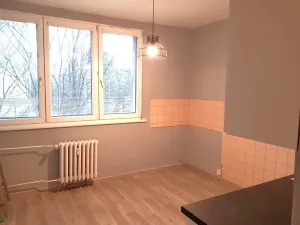 Prodej bytu 1+1, Ostrava - Moravská Ostrava, Lechowiczova, 35 m2