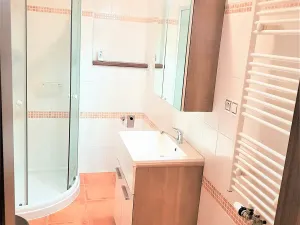 Pronájem bytu 1+kk, České Budějovice, Tylova, 34 m2