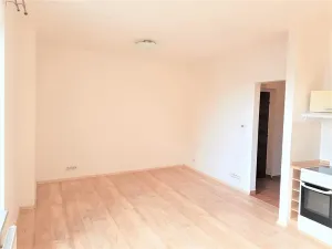 Pronájem bytu 1+kk, České Budějovice, Tylova, 34 m2
