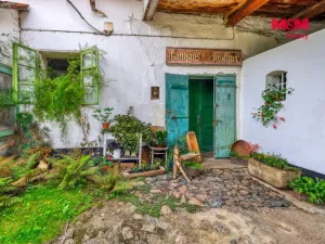 Prodej zemědělské usedlosti, Chocenice, 350 m2