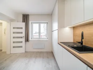 Prodej bytu 1+1, Brno, Cejl, 50 m2