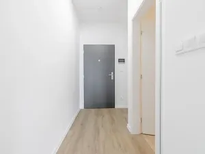 Prodej bytu 1+kk, České Budějovice, U Branišovského lesa, 46 m2