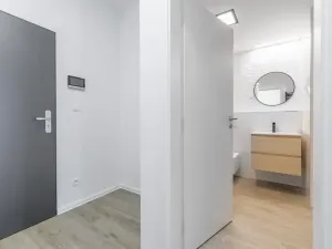 Prodej bytu 1+kk, České Budějovice, U Branišovského lesa, 46 m2