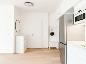 Pronájem bytu 2+kk, Praha - Holešovice, Tusarova, 58 m2