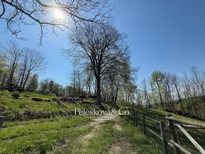 Prodej pozemku pro bydlení, Kořenov, 12296 m2