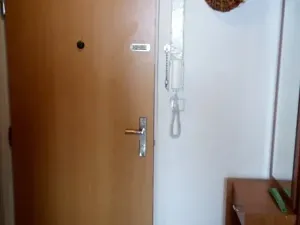 Pronájem bytu 1+kk, Brno, Zikova, 33 m2