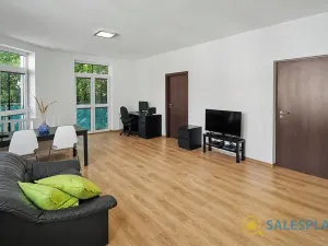 Prodej bytu 2+kk, Brno, Mikšíčkova, 65 m2