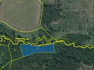 Prodej lesa, Lukavec, 3852 m2