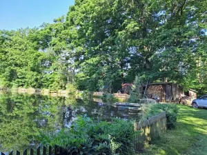 Prodej lesa, Nová Cerekev, 2440 m2