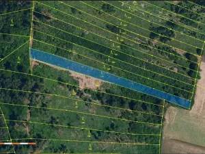 Prodej lesa, Mladoňovice, 2261 m2