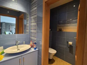 Prodej vícegeneračního domu, Náchod, Komenského, 1000 m2