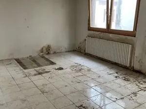 Prodej rodinného domu, Rosice, U Sýpky, 345 m2