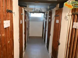 Prodej bytu 3+1, Ostrava, Opavská, 74 m2