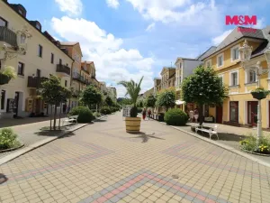 Pronájem bytu 2+kk, Františkovy Lázně, Národní, 69 m2