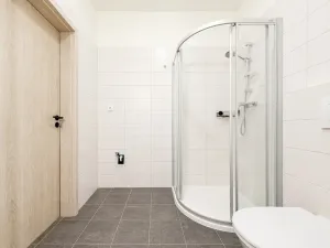 Pronájem bytu 3+kk, Milovice - Mladá, Slepá, 61 m2