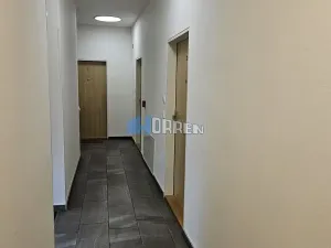 Pronájem bytu 2+kk, Praha - Libeň, Primátorská, 55 m2
