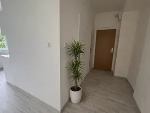 Pronájem bytu 3+1, Litvínov, Studentská, 62 m2