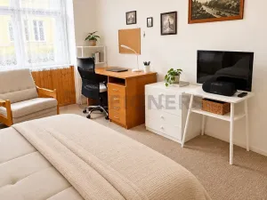 Pronájem pokoje, Praha - Košíře, Mahenova, 23 m2