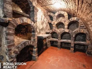 Prodej vinného sklepa, Březí, 76 m2