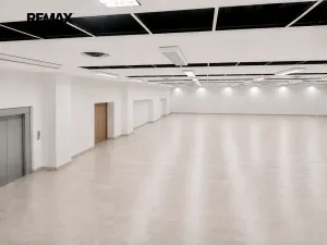 Pronájem obchodního prostoru, Hradec Králové, Gočárova třída, 865 m2