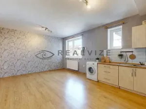 Prodej bytu 1+kk, České Budějovice, Holečkova, 35 m2