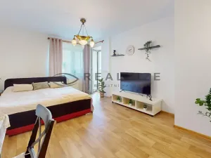 Prodej bytu 2+1, České Budějovice, Holečkova, 52 m2