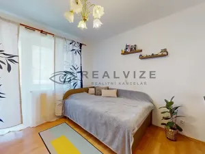 Prodej bytu 2+1, České Budějovice, Holečkova, 52 m2