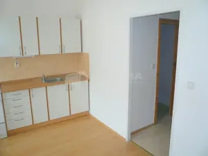 Pronájem bytu 2+1, Praha - Břevnov, Šlikova, 50 m2