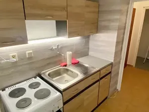 Pronájem bytu 1+kk, Brno, Herčíkova, 29 m2
