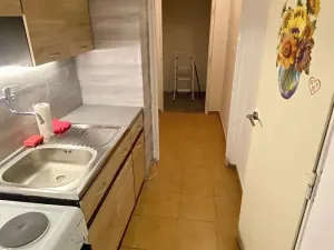 Pronájem bytu 1+kk, Brno, Herčíkova, 29 m2