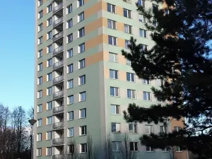 Pronájem bytu 1+kk, Brno, Herčíkova, 29 m2