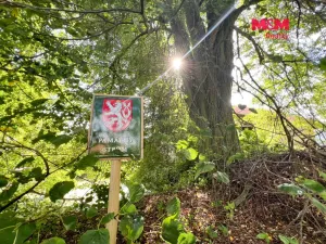 Prodej pozemku pro bydlení, Kostelec nad Černými lesy - Kostelec nad Černými Lesy, 16025 m2